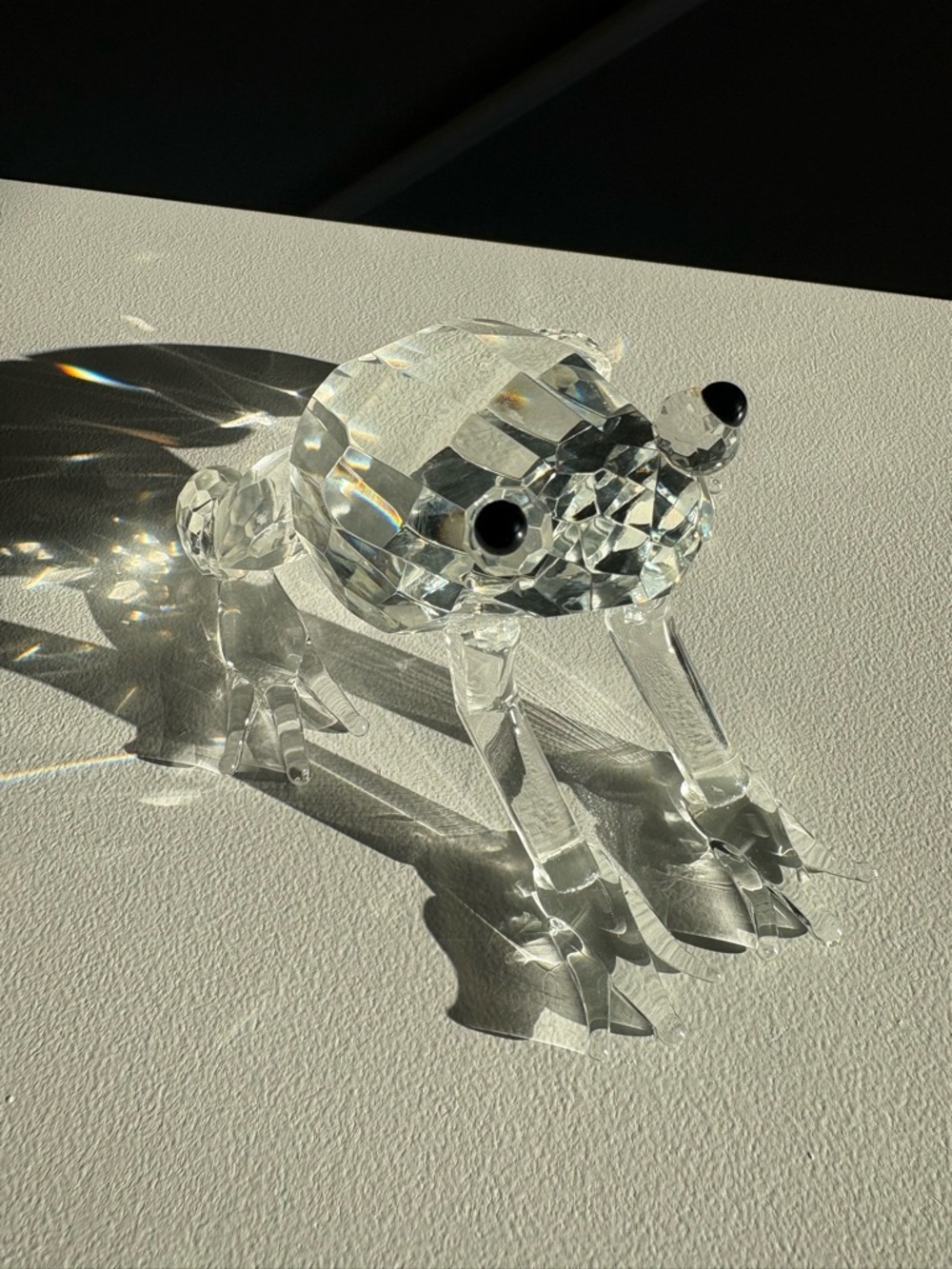 Gorgeous crystal frog